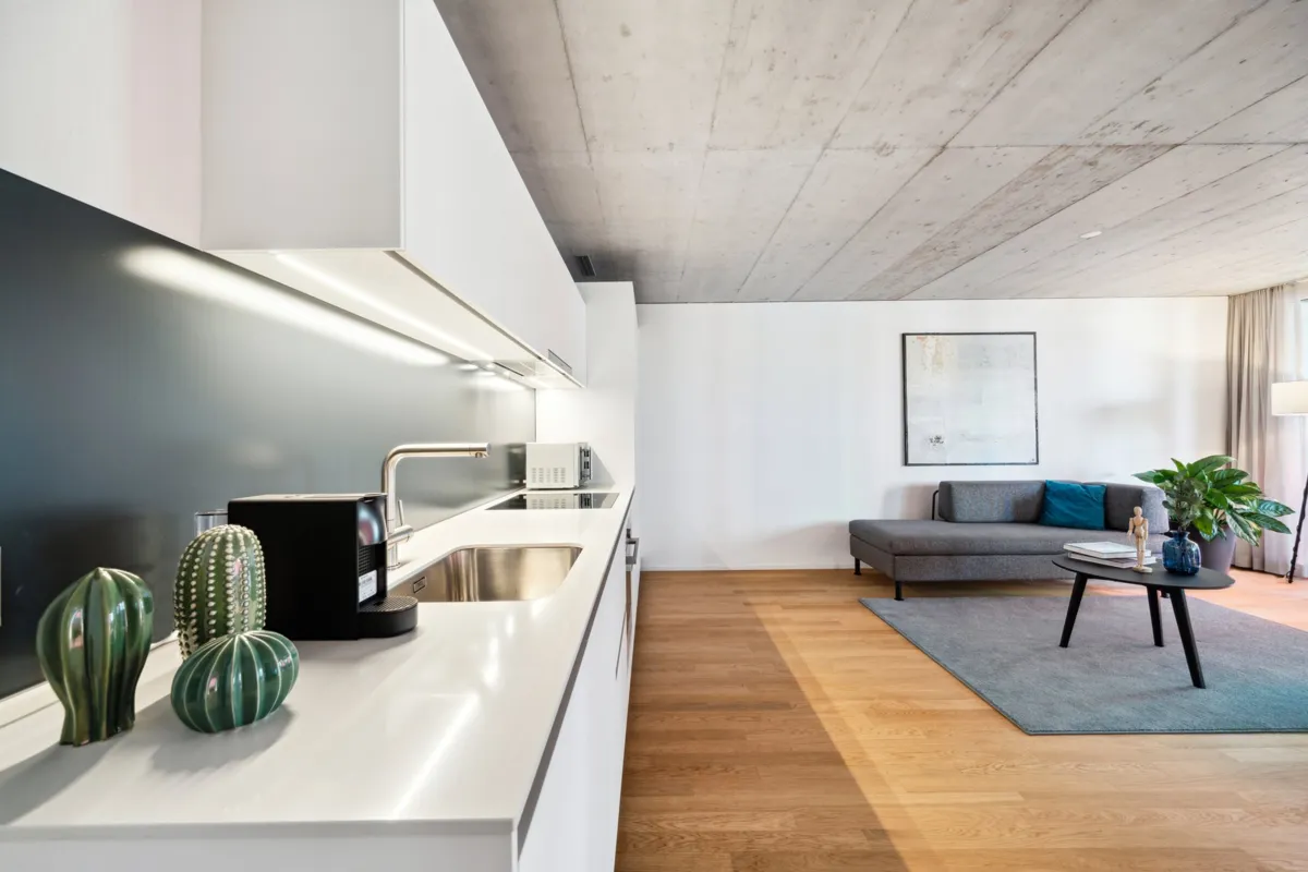 Furnished Apartment in Tribschen, Luzern