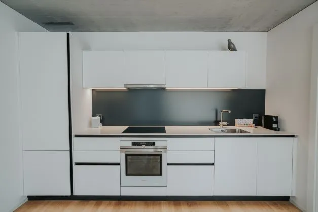 Furnished Apartment in Tribschen, Luzern gallery