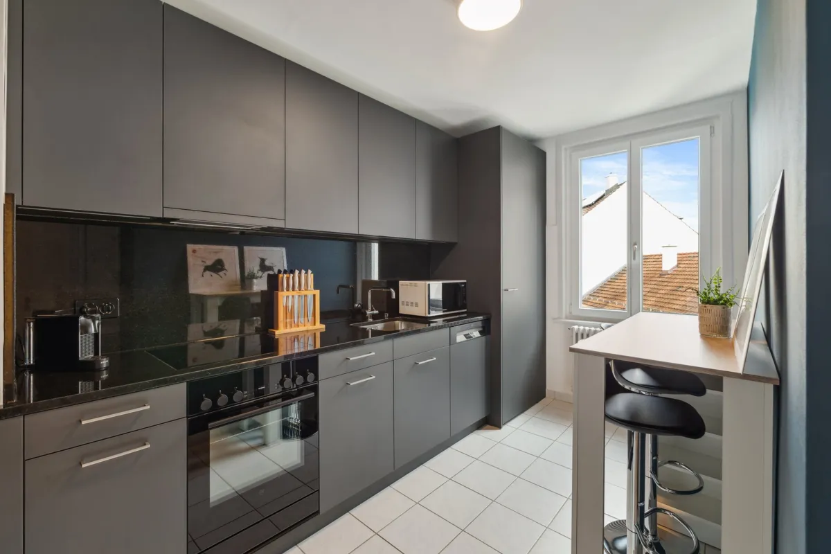 Furnished Apartment in Basel gallery
