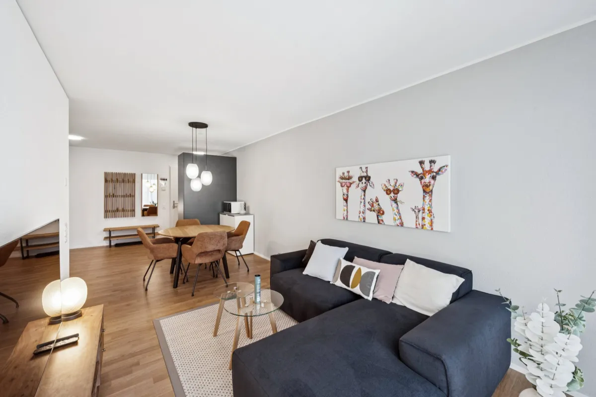 Furnished Apartment in Muttenz