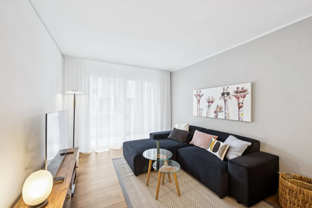 Furnished Apartment in Muttenz