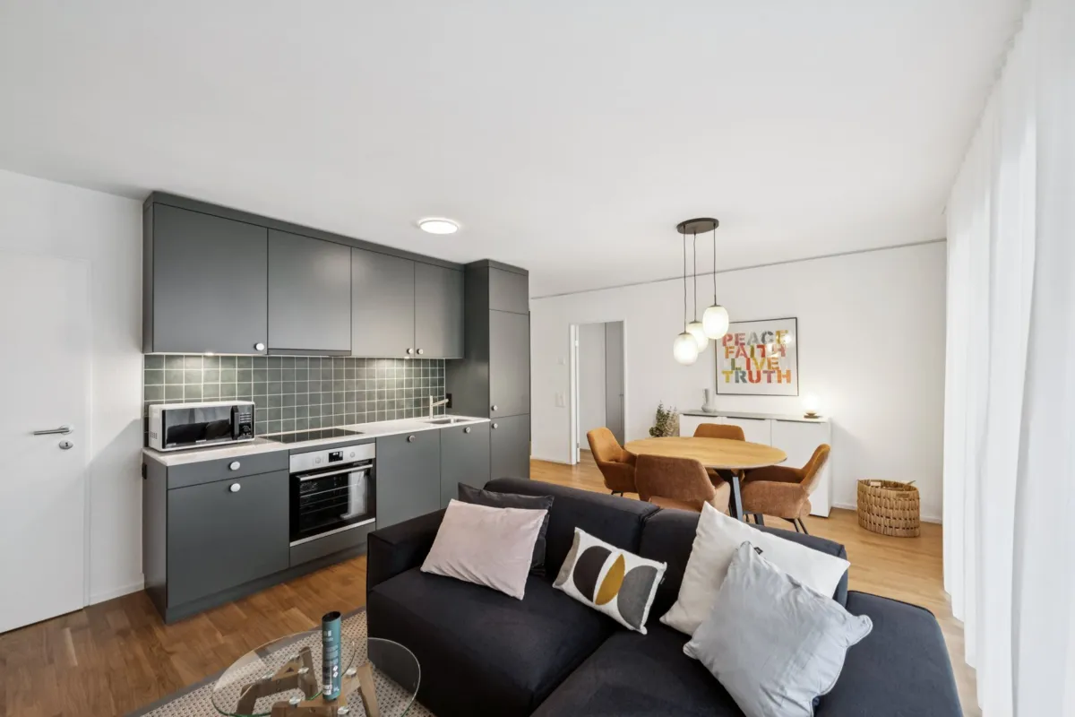 Furnished Apartment in Muttenz gallery