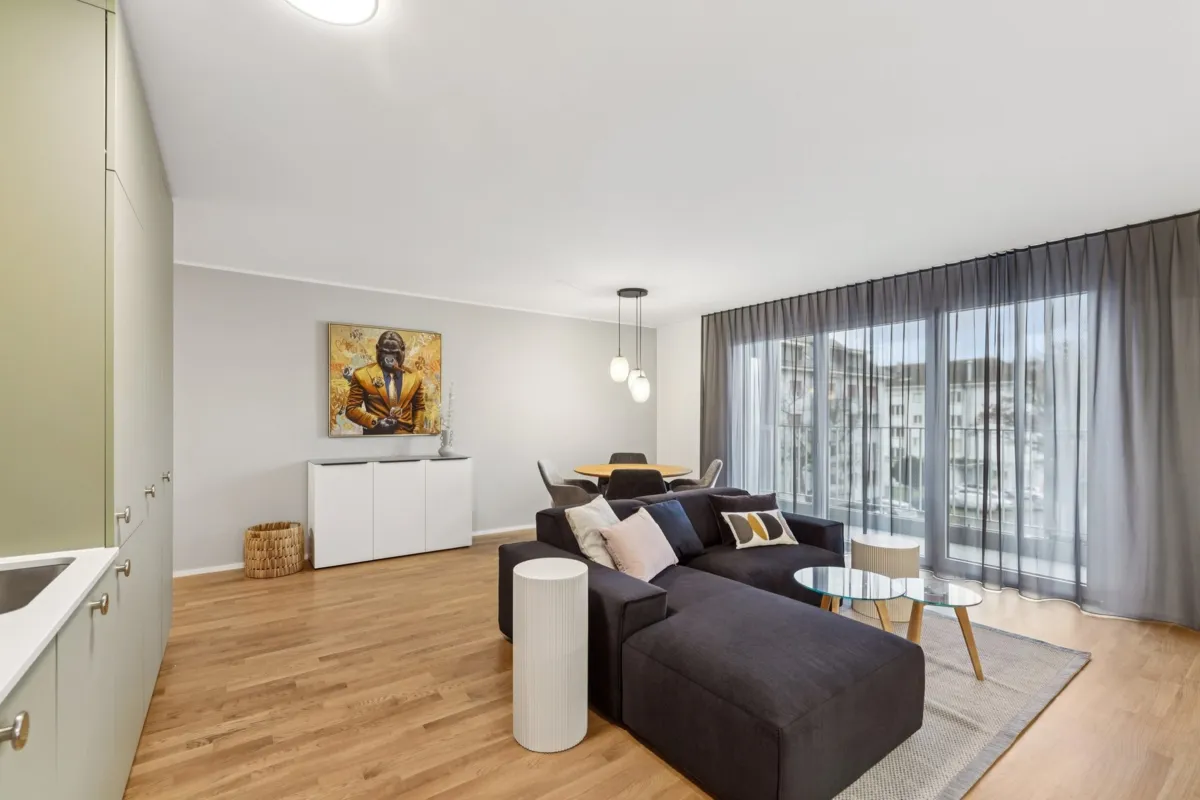 Furnished Apartment in Muttenz gallery