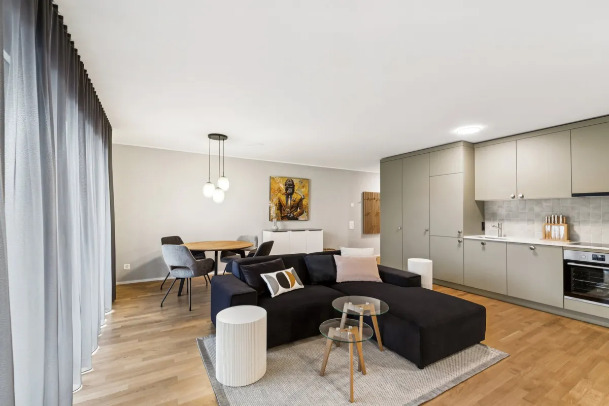 Furnished Apartment in Muttenz gallery